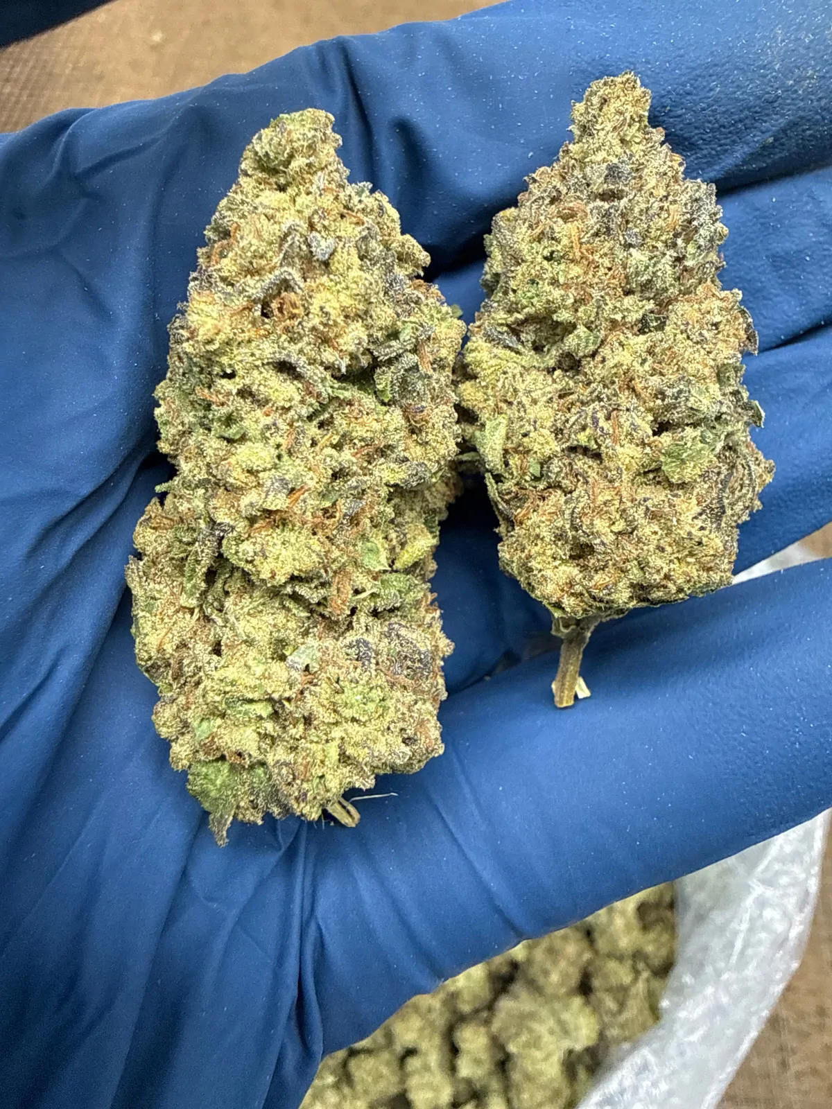 Sundae Driver Flower
